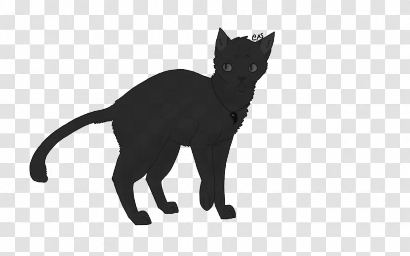 Bombay Cat Korat Black Kitten Domestic Short-haired - Mammal Transparent PNG