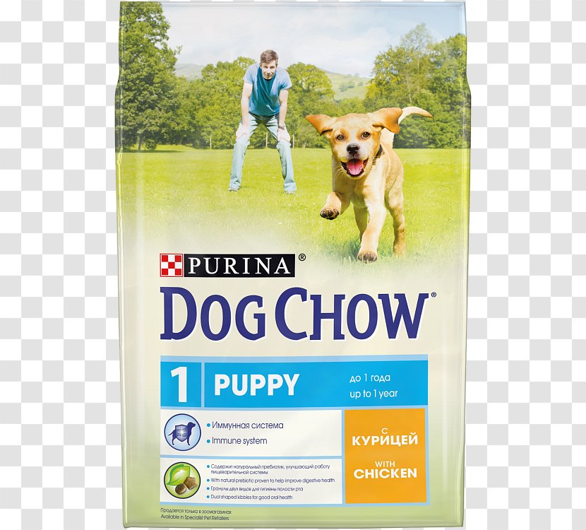 Puppy Dog Chow Food Nestlé Purina PetCare Company Transparent PNG