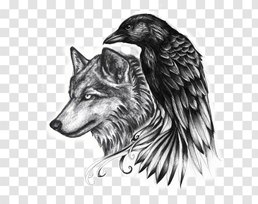 Common Raven Abziehtattoo Crow Gray Wolf - Black And White - Tatoo Transparent PNG