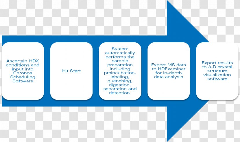 Workflow Organization Flowchart Spectroscopy Wiring Diagram - Communication - Isotoperatio Mass Spectrometry Transparent PNG