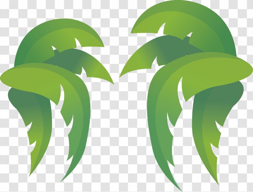 Leaf Coconut Clip Art - Image Resolution - Leaves Transparent PNG