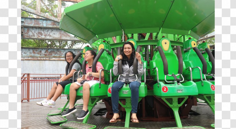 Playground Leisure Green Amusement Ride Park Transparent PNG