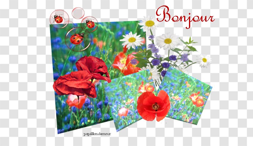 Apple Greeting & Note Cards Floral Design Plants - Bon Jour Transparent PNG