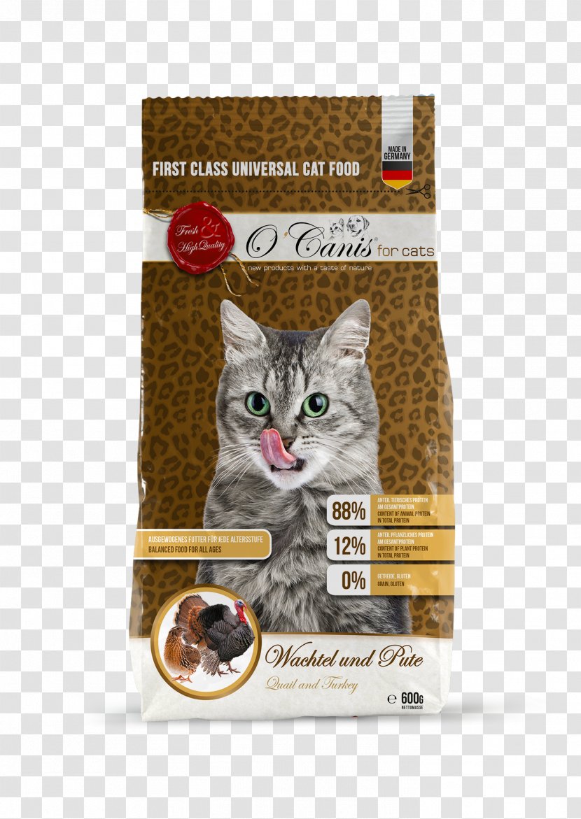Cat Food Whiskers Kitten Ocanis Deutschland GmbH - Like Mammal Transparent PNG