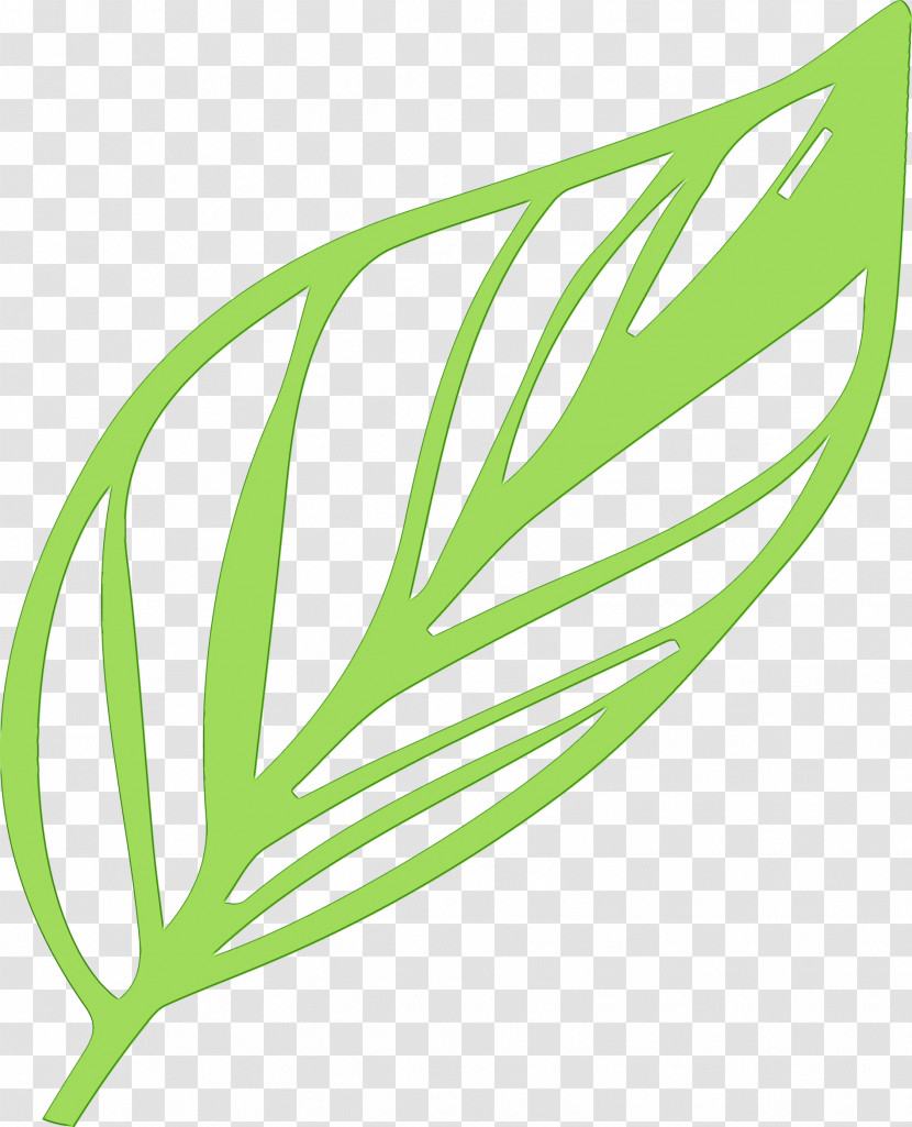 Salad Transparent PNG