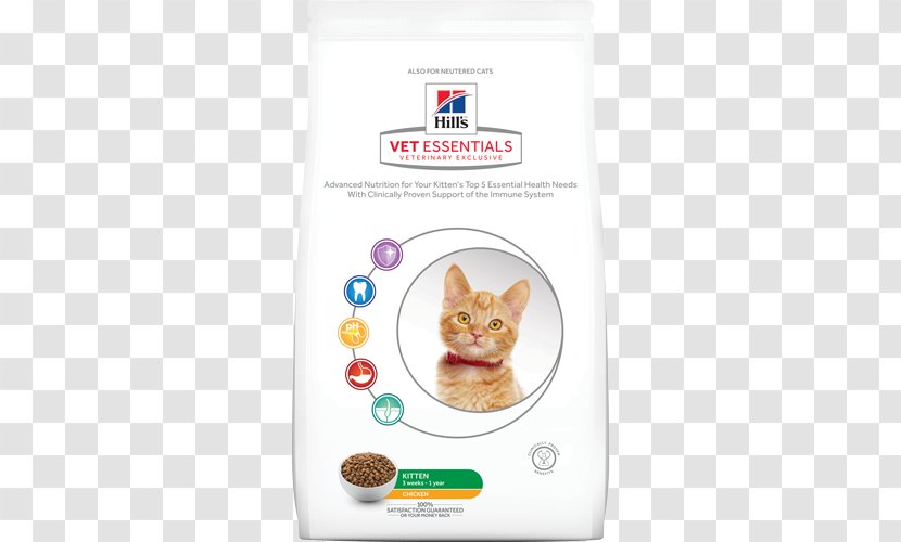Kitten Cat Hill's Pet Nutrition Veterinarian Dog - Neutering Transparent PNG