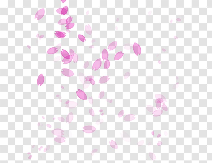 Petal Cherry Blossom Flower - Heart - Petals Background Transparent PNG