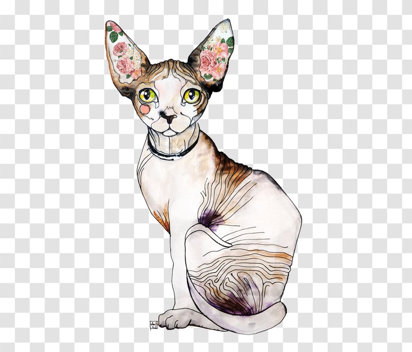 Sphynx Cat Donskoy Kitten Ultimate Black - Hairless Transparent PNG