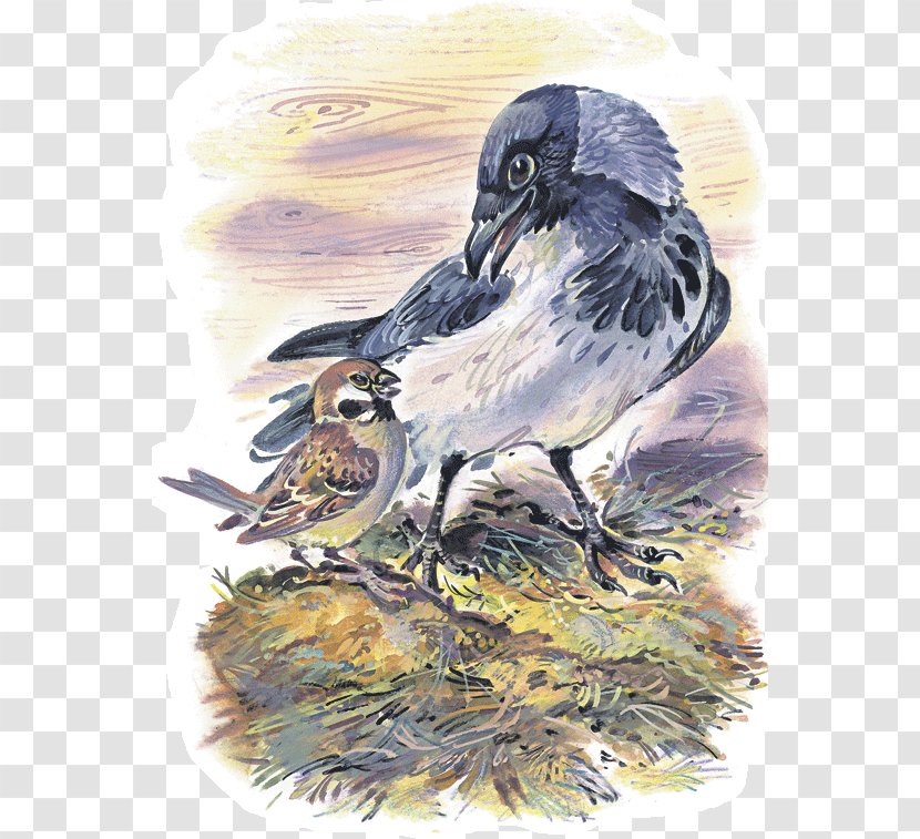 Bird House Sparrow Лесные сказки Сказки шорохи: [рассказы и о родной природе : для мл. шк. возраста] - Crow Transparent PNG