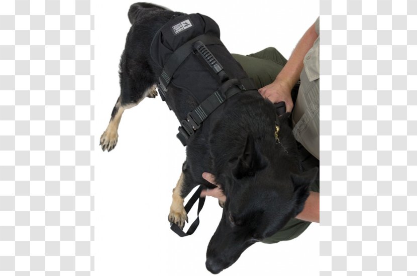 Dog Harness Search And Rescue Police Leash Transparent PNG