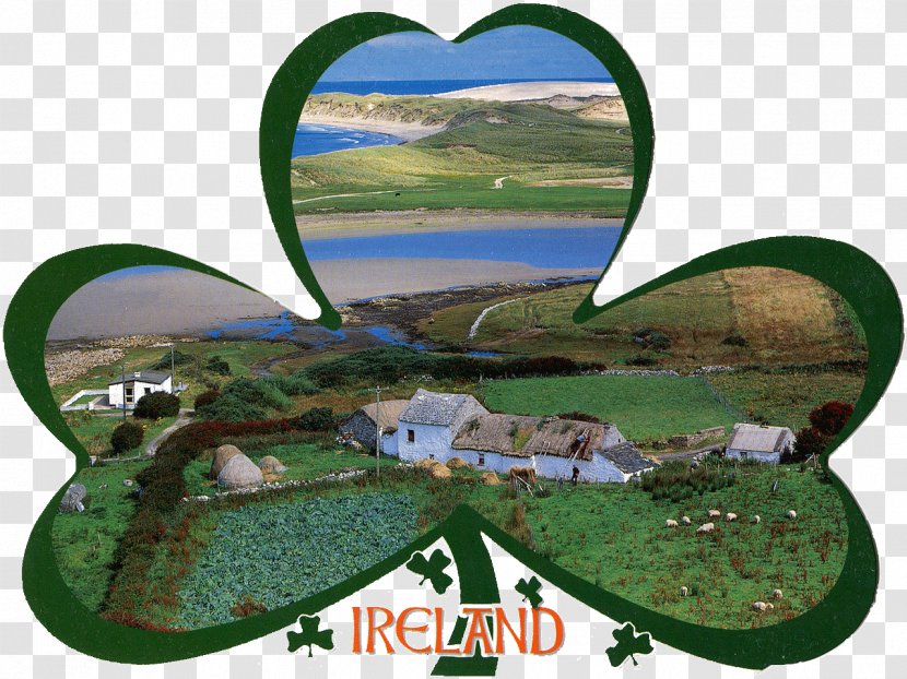 Post Cards Landscape Murphy's Irish Stout Cobh Kinsale - Country Transparent PNG