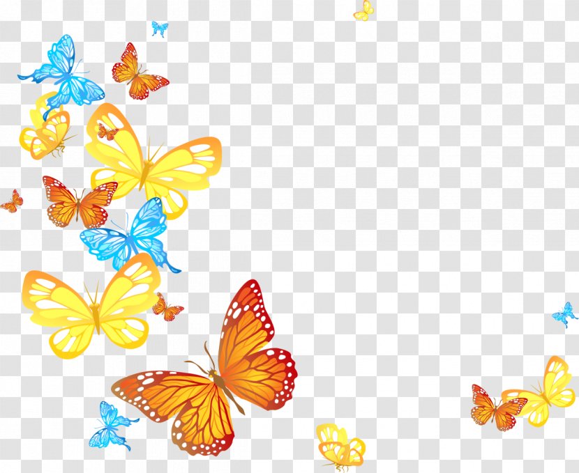 Butterfly Papillon Dog Transparency And Translucency Clip Art - Petal Transparent PNG