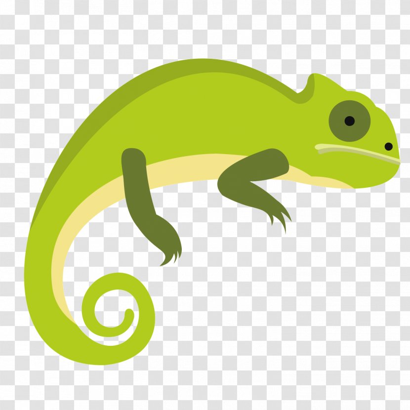 Chameleons Lizard Common Iguanas Illustration - Green Chameleon Transparent PNG