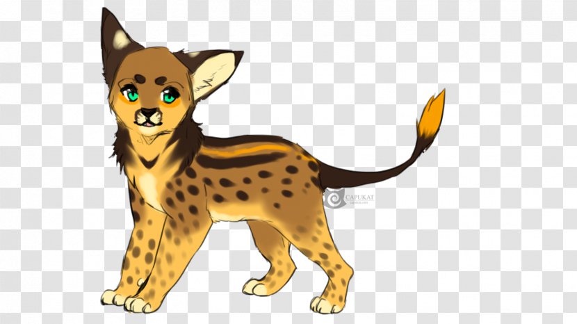 Whiskers Cheetah Cat Dog Breed Red Fox - Big Transparent PNG