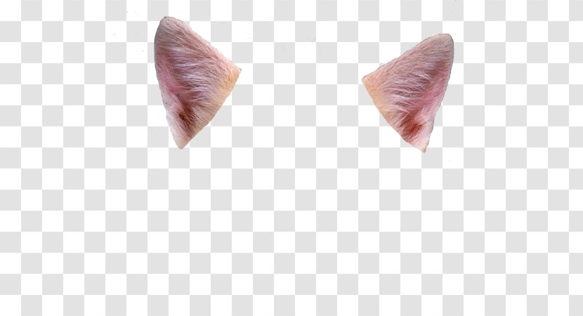 Ear Cat Felidae Deer 0 - User Transparent PNG
