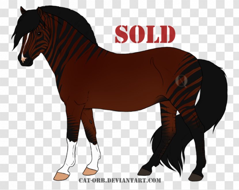Mustang Foal Stallion Mare Rein - Horse Supplies Transparent PNG