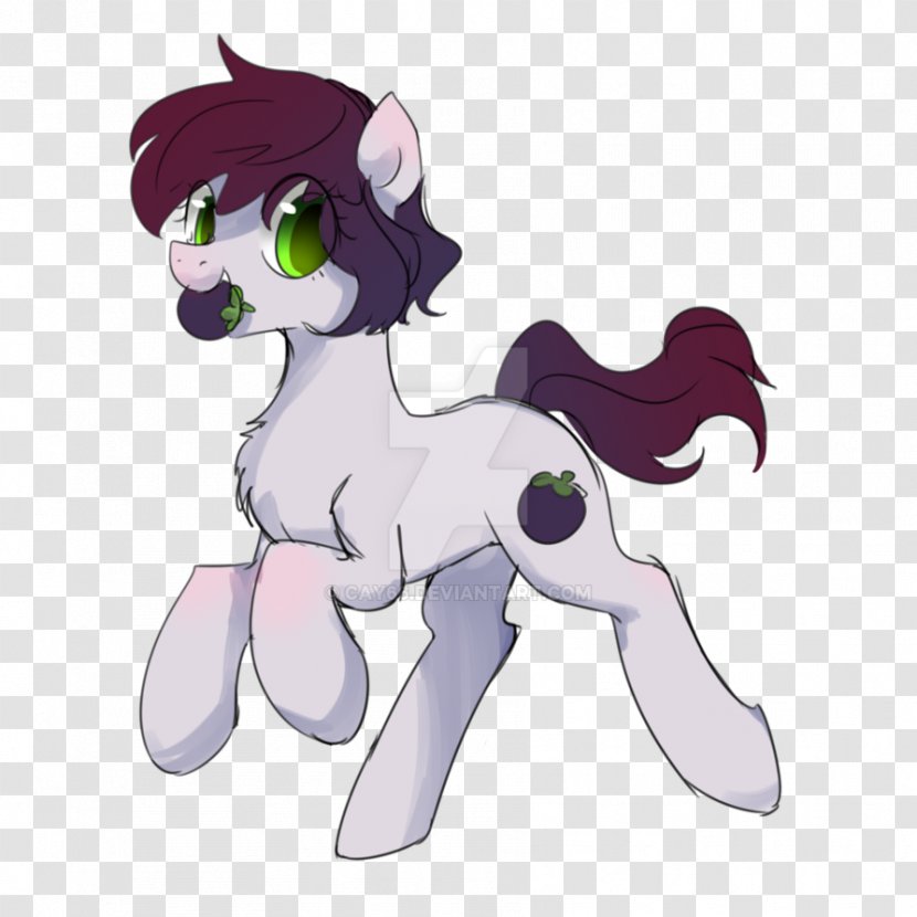 Pony Horse Cat Tail Animal - Frame Transparent PNG