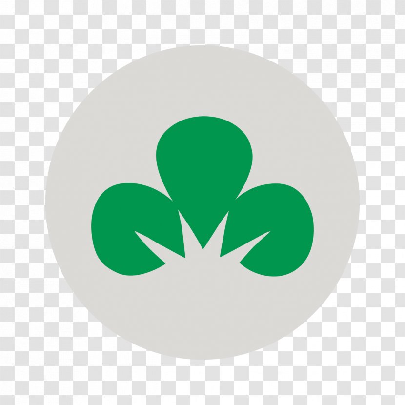 Mortgage Loan Officer Investment Reverse - Symbol - Irish Shamrock Transparent PNG