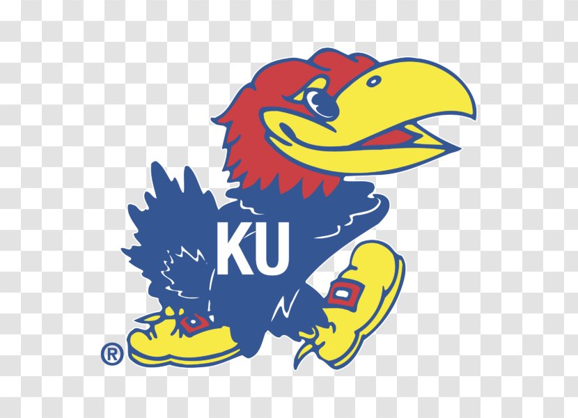 University Of Kansas Jayhawks Men's Basketball Baseball Women's Track And Field - Bird - Amazing Thailand Logo Transparent PNG