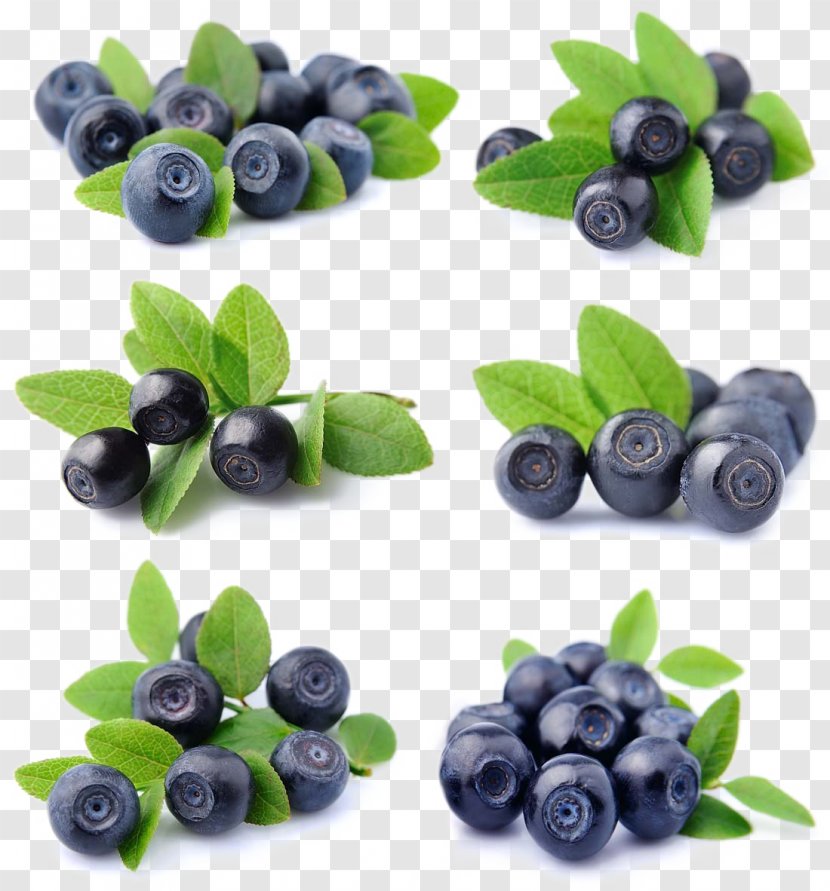 Blueberry Fruit Bilberry Lingonberry - Fresh Blueberries Transparent PNG