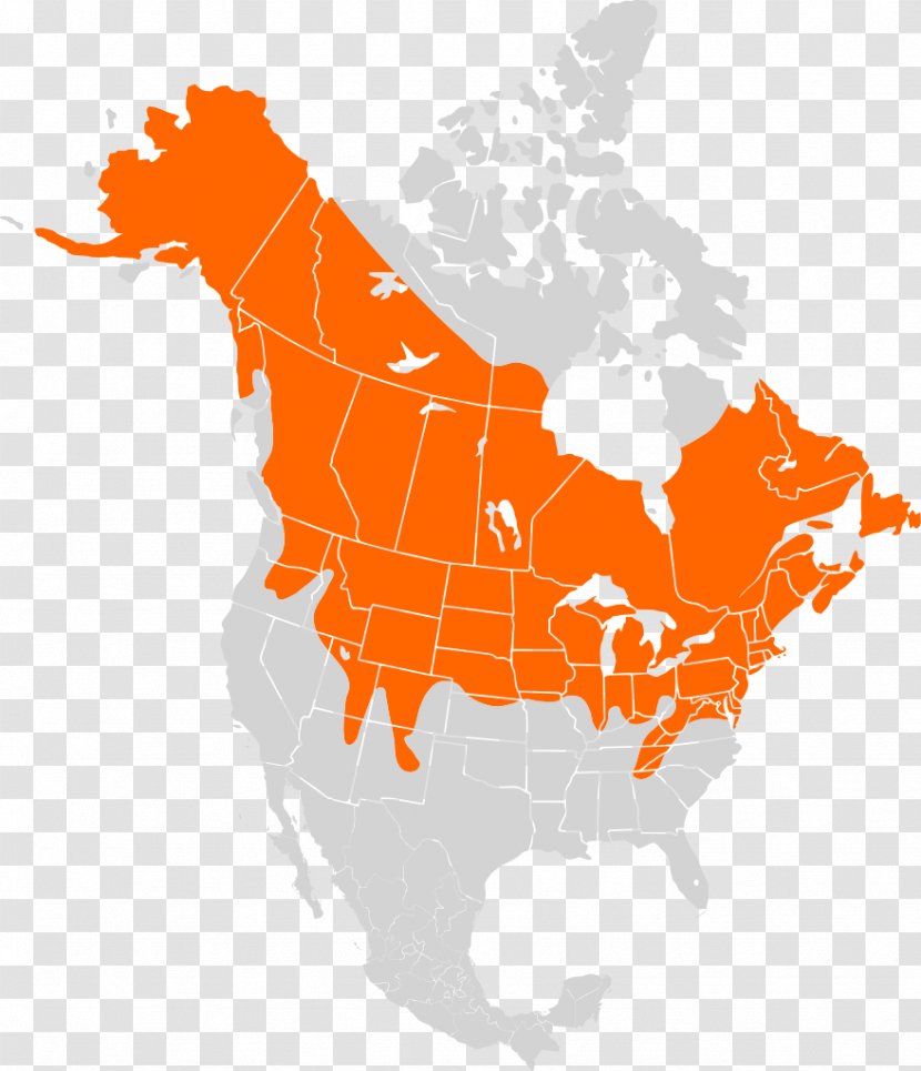 Canada United States Mexico City Map Caribbean - Blank Transparent PNG