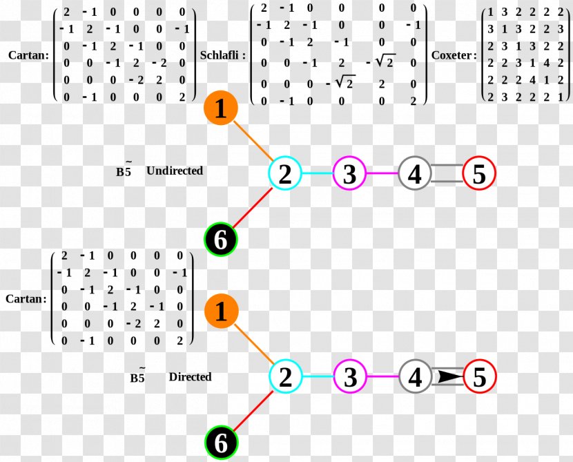 Circle - Text - Binary Pattern Transparent PNG