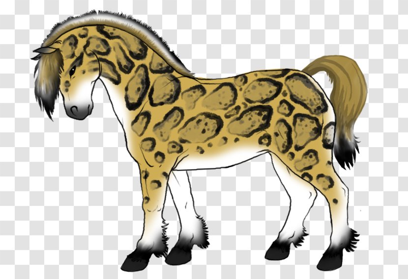 Savannah Cat Mustang Pony Howrse Animal - Mammal Transparent PNG