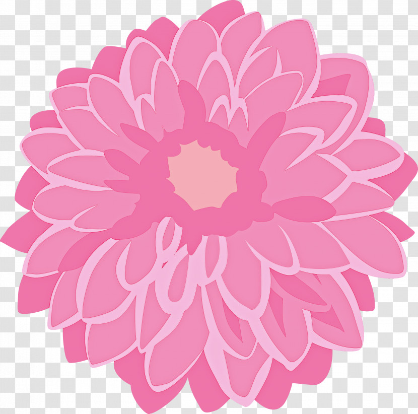 Pink Petal Flower Plant Dahlia Transparent PNG