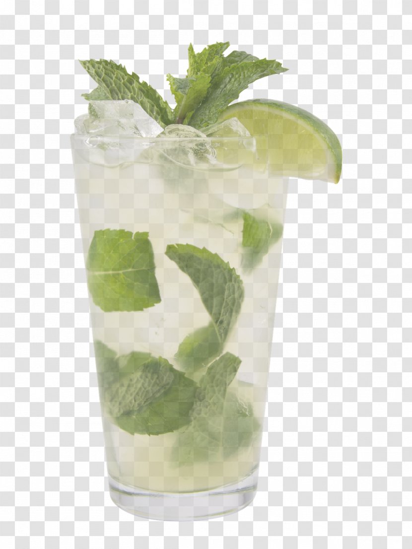 Mojito - Rickey Nonalcoholic Beverage Transparent PNG