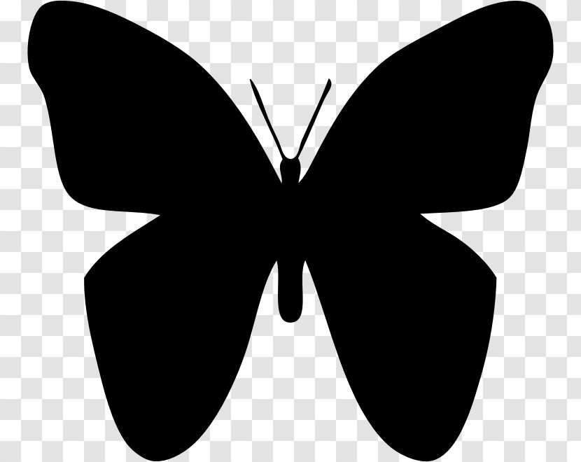 Butterfly YouTube Clip Art - Black Transparent PNG