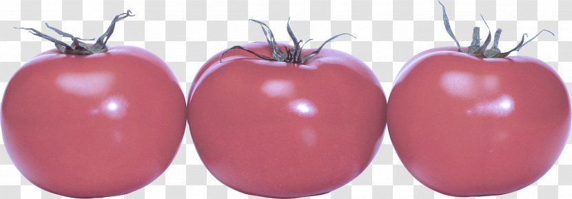Tomato - Solanum - Apple Plum Transparent PNG