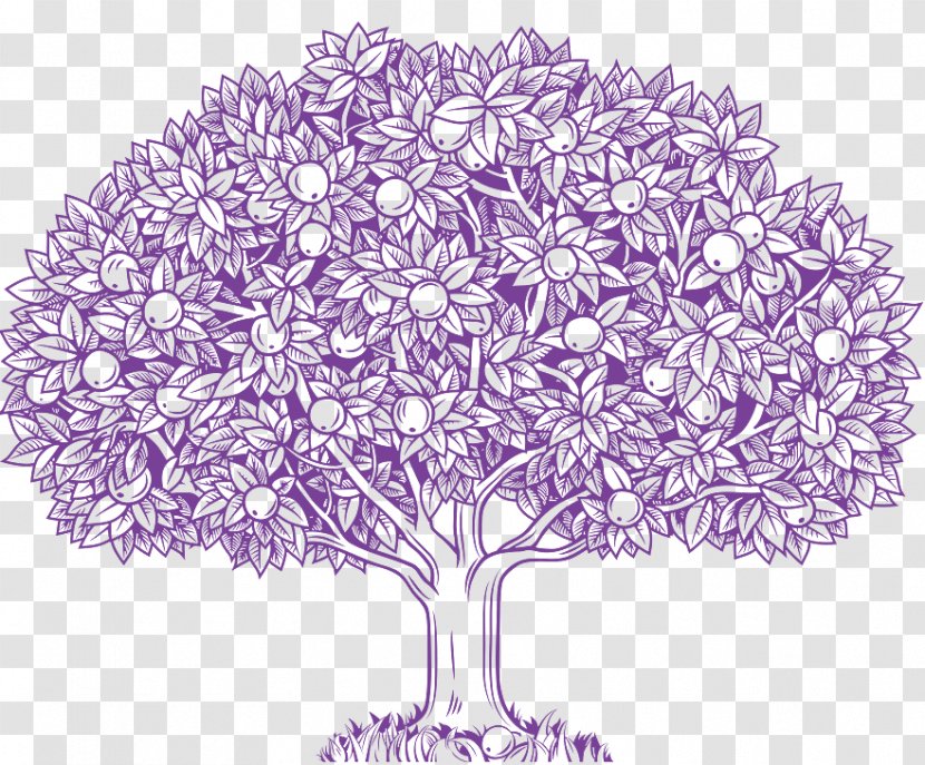 Vector Graphics Stock Illustration Drawing Clip Art - Royaltyfree - Apple Tree Transparent PNG