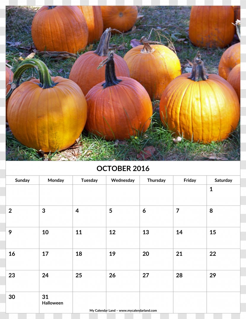 Pumpkin Winter Squash Gourd Food Calabaza - Calendar Transparent PNG