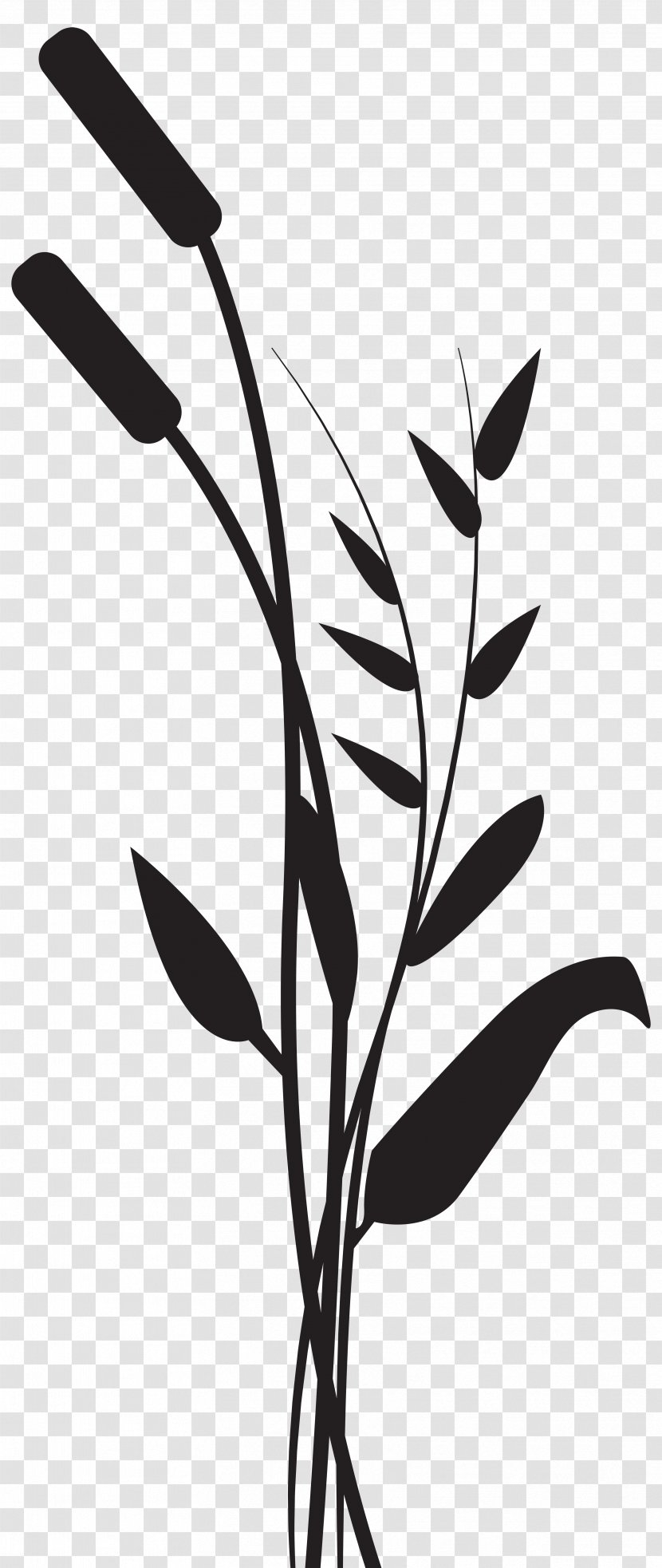 Silhouette Drawing Photography Clip Art - Royaltyfree - Grass Transparent PNG