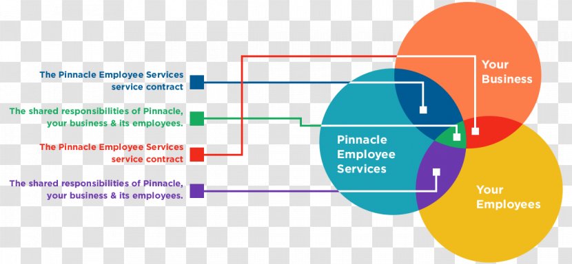 Shared Services Employee Benefits Human Resource - Diagram - Service Personnel Transparent PNG