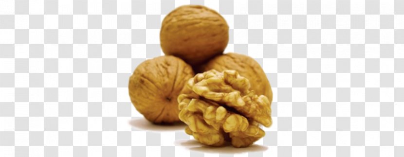 Walnut Nutrient Food Image - Seed - Finish Transparent PNG