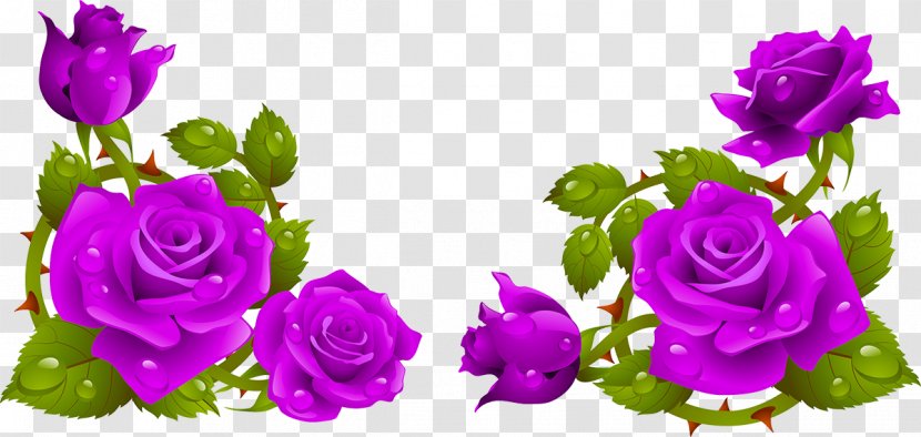 Garden Roses Flower Clip Art - Violet - Rose Transparent PNG