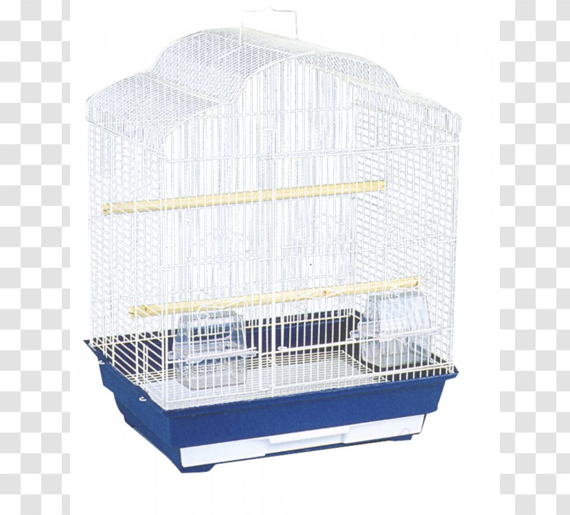Birdcage Cockatiel Domestic Canary Budgerigar - Parrot Transparent PNG