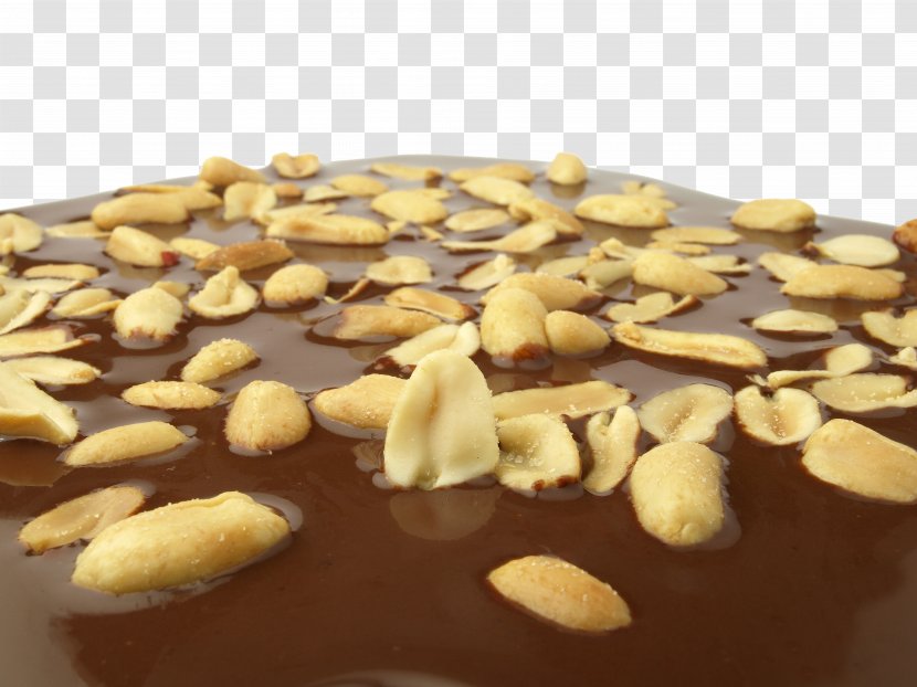 Milkshake Chocolate Cake Hot Pot Nut - Sugar - Delicious Sauce Transparent PNG