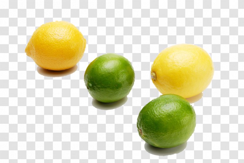 Sweet Lemon Key Lime Persian - Fresh Transparent PNG