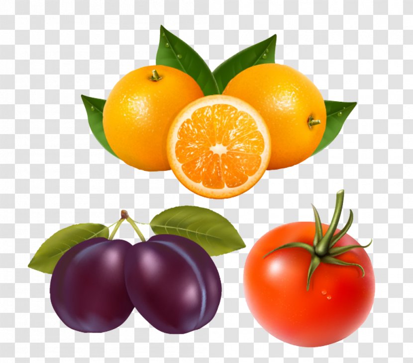 Orange Juice Clip Art - Citrus - And Plum Tomatoes Transparent PNG