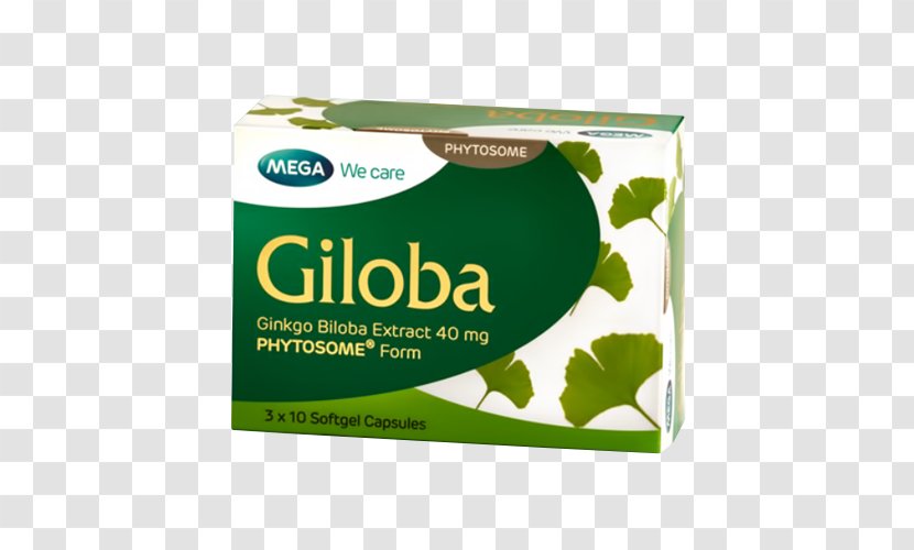 Ginkgo Biloba Capsule Dietary Supplement Extract Herb - Health Transparent PNG