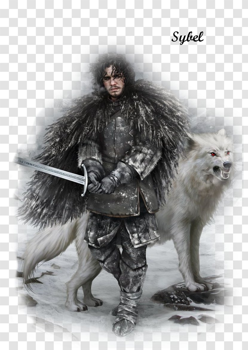 Jon Snow Daenerys Targaryen Arya Stark Winter Is Coming A Song Of Ice And Fire - Television Transparent PNG