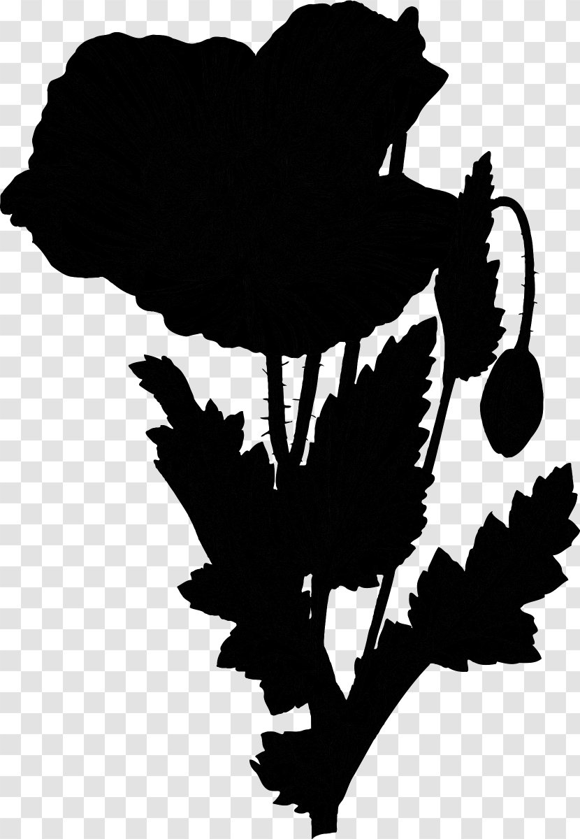 Flowering Plant Graphics Illustration Silhouette - Blackandwhite Transparent PNG