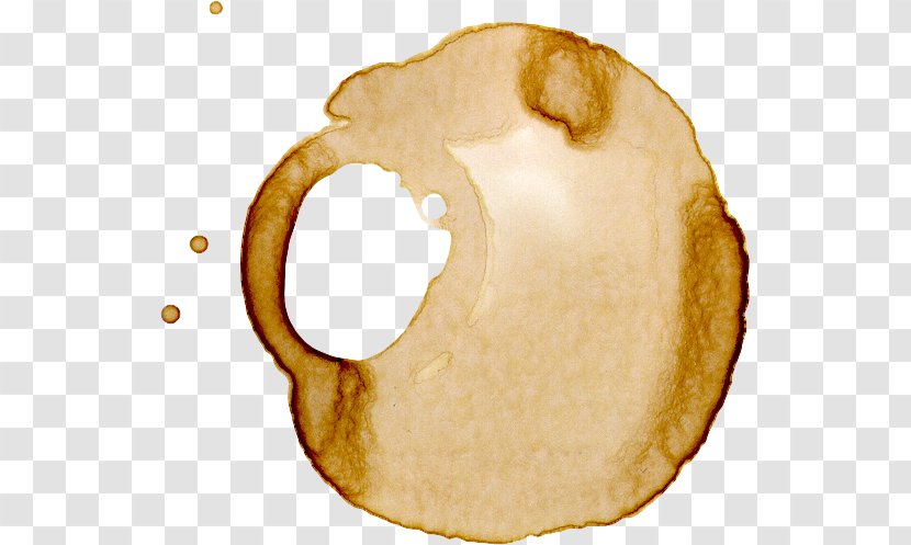 Coffee Bean Cafe Stain Transparent PNG
