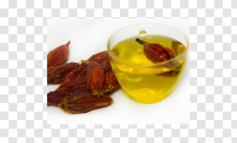 Tea Gardenia Da Hong Pao Bitterness Zhizi - Oolong - Drink Transparent PNG