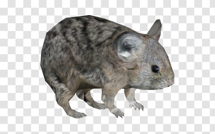 Zoo Tycoon 2: Marine Mania Hamster American Pika Animal - Rodent Transparent PNG