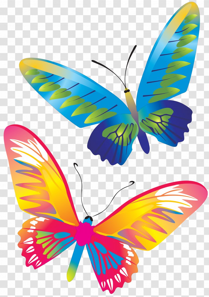 Butterfly CorelDRAW - Symmetry Transparent PNG