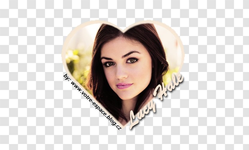 Lucy Hale Pretty Little Liars Eyebrow Hair Coloring Lip - Brown Transparent PNG
