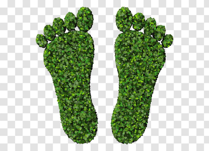 Footprint Euclidean Vector Green Stock Photography - Footprints Transparent PNG